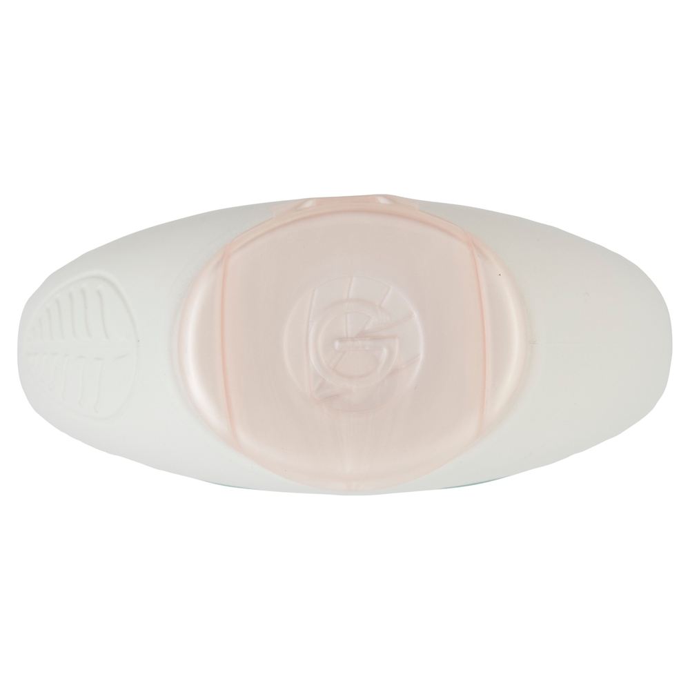 Garnier Ultra Dolce Shampoo Delicatezza D'Avena capelli delicati Crema di riso e latte d'avena 300ml